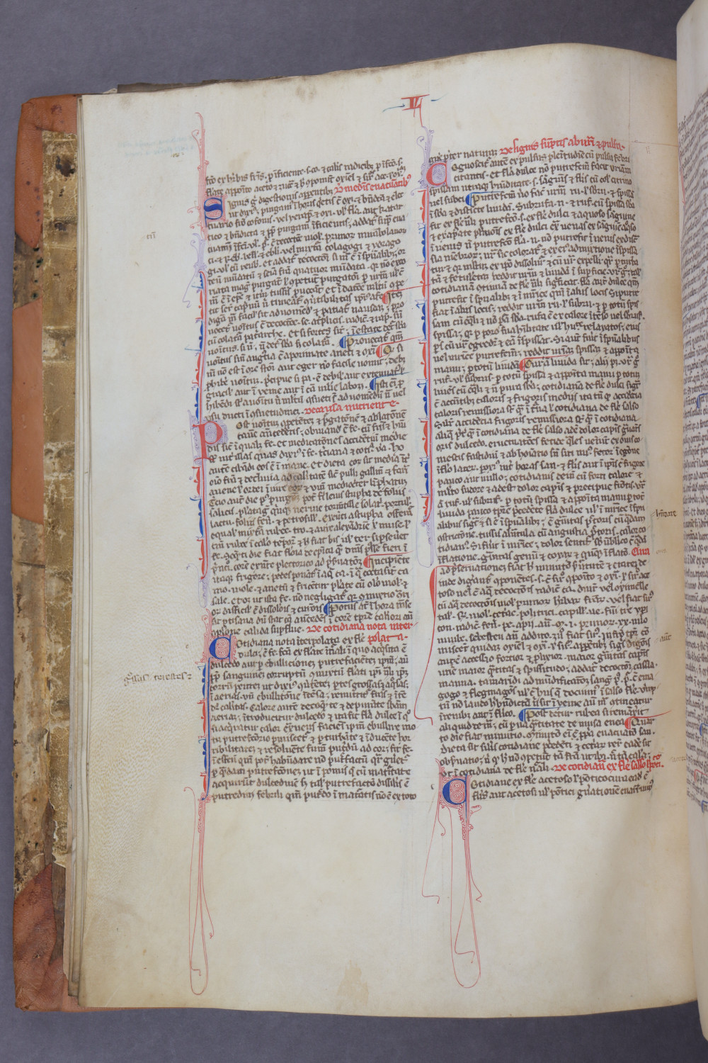 Folio 16 verso